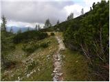 Planina Zajavornik - Viševnik